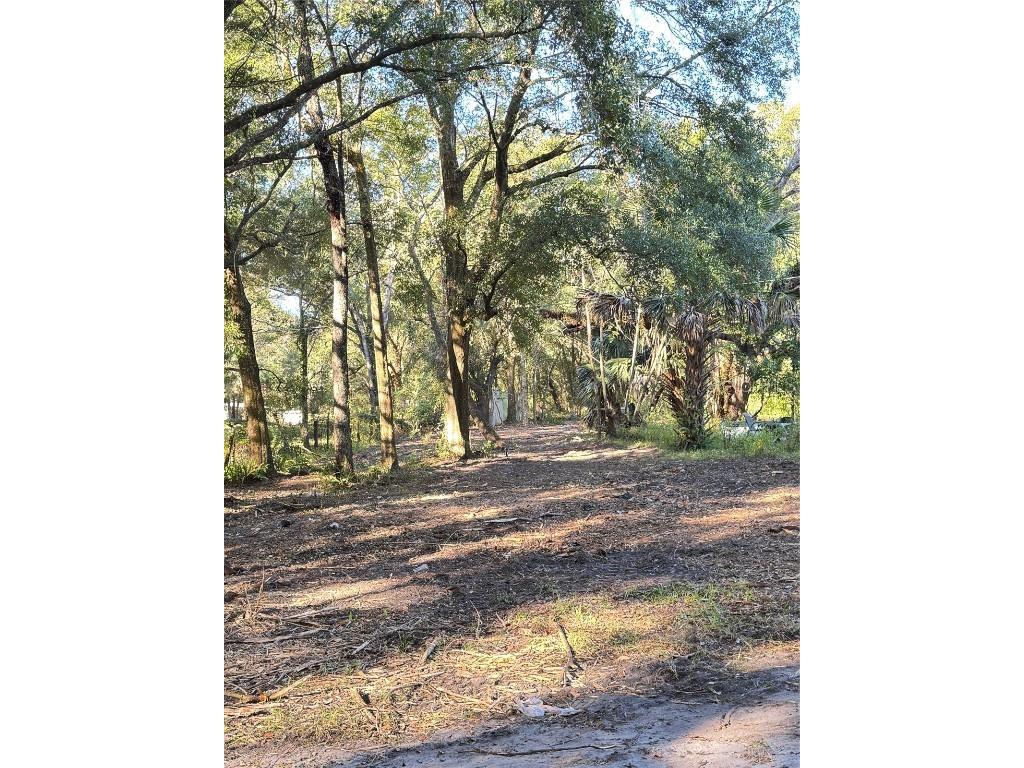 17446 SE 134th Avenue Road Weirsdale FL 32195 G5104118 image3