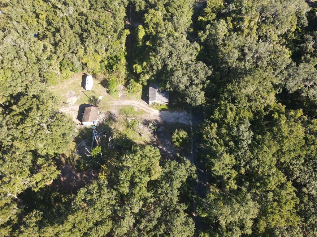 17446 SE 134th Avenue Road Weirsdale FL 32195 G5104118 image6