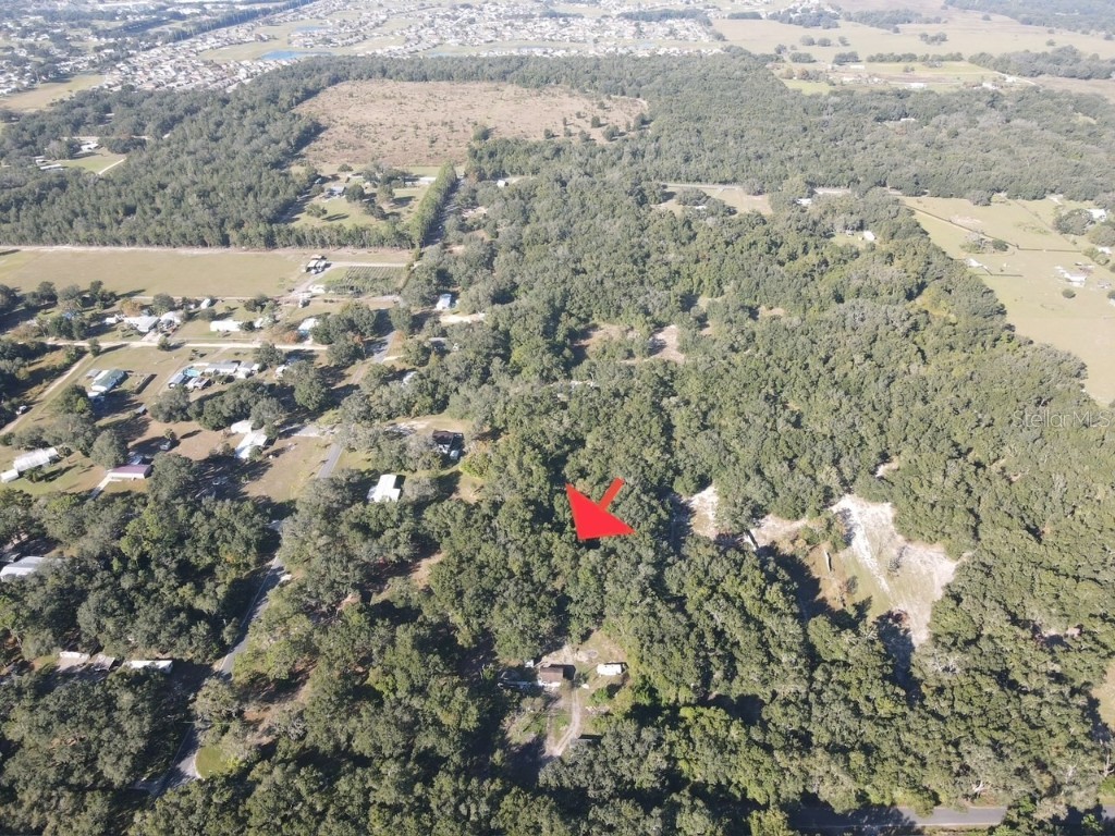 17446 SE 134th Avenue Road Weirsdale FL 32195 G5104118 image7