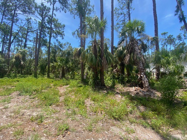 17447 Metcalf Avenue Port Charlotte FL 33954 C7478349 image1