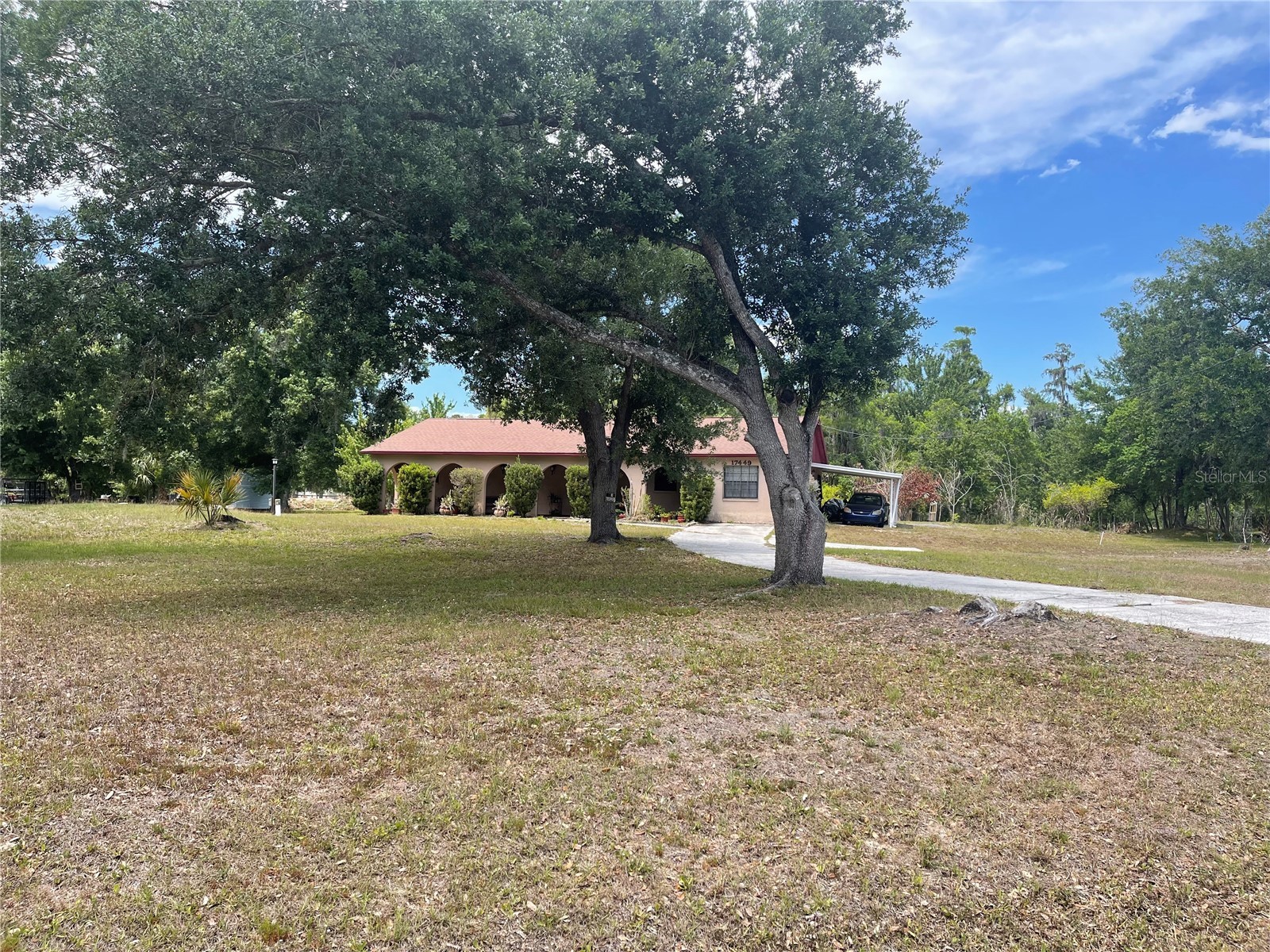 17449 Eagle Lane Lutz FL 33558 TB8505036 image1
