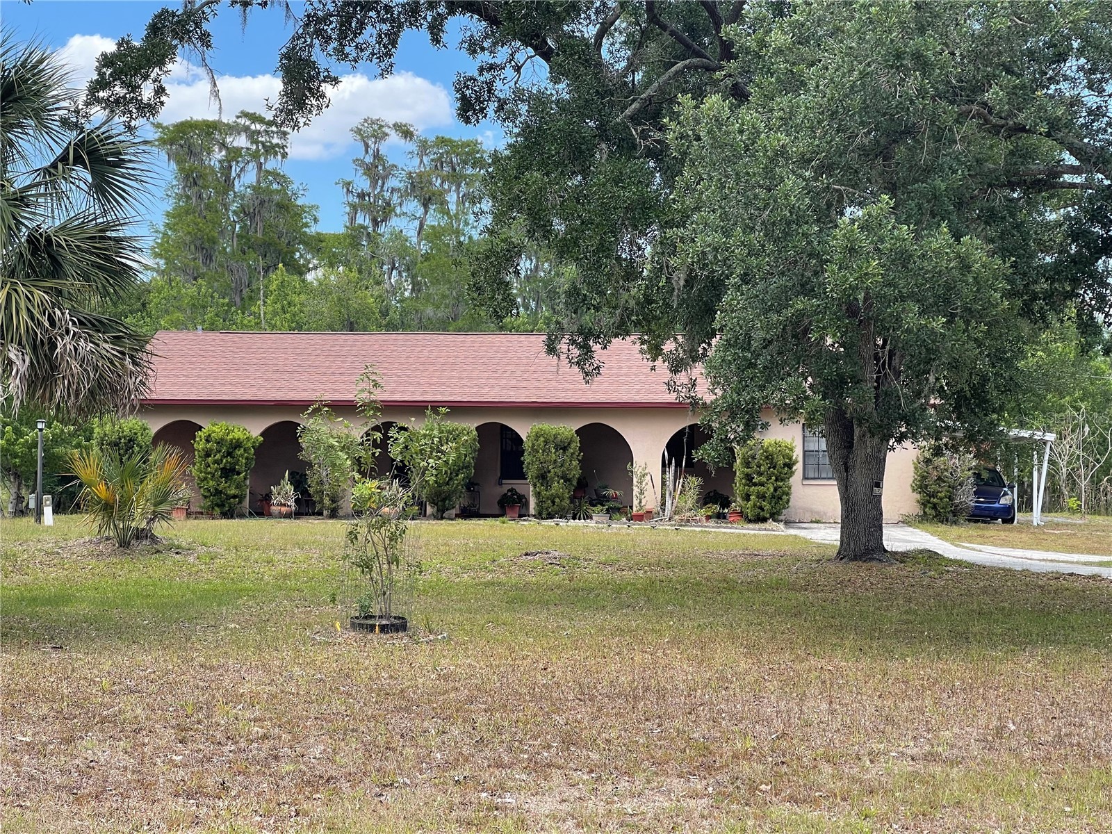 17449 Eagle Lane Lutz FL 33558 TB8505036 image2