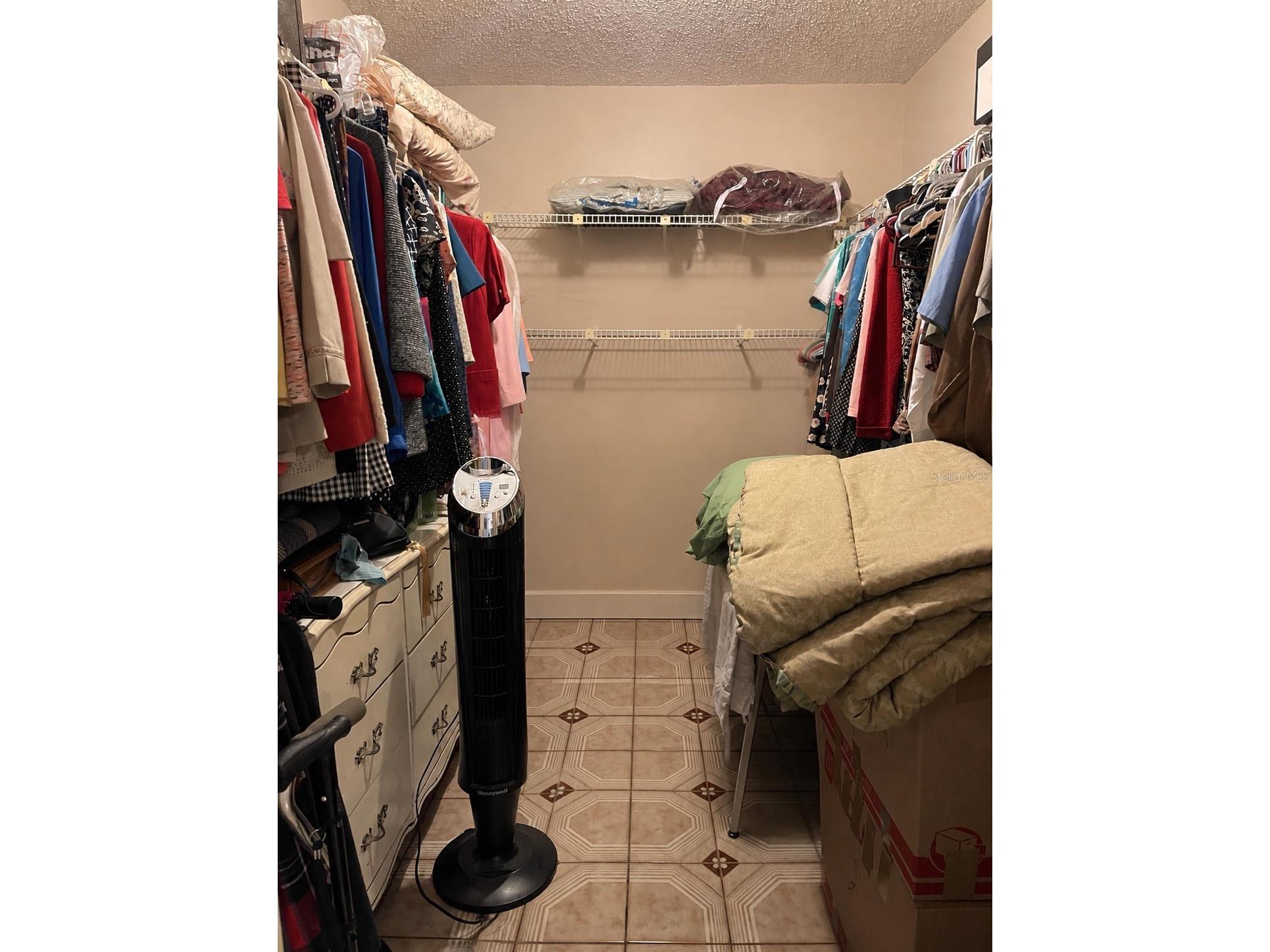 17449 Eagle Lane Lutz FL 33558 TB8505036 image20