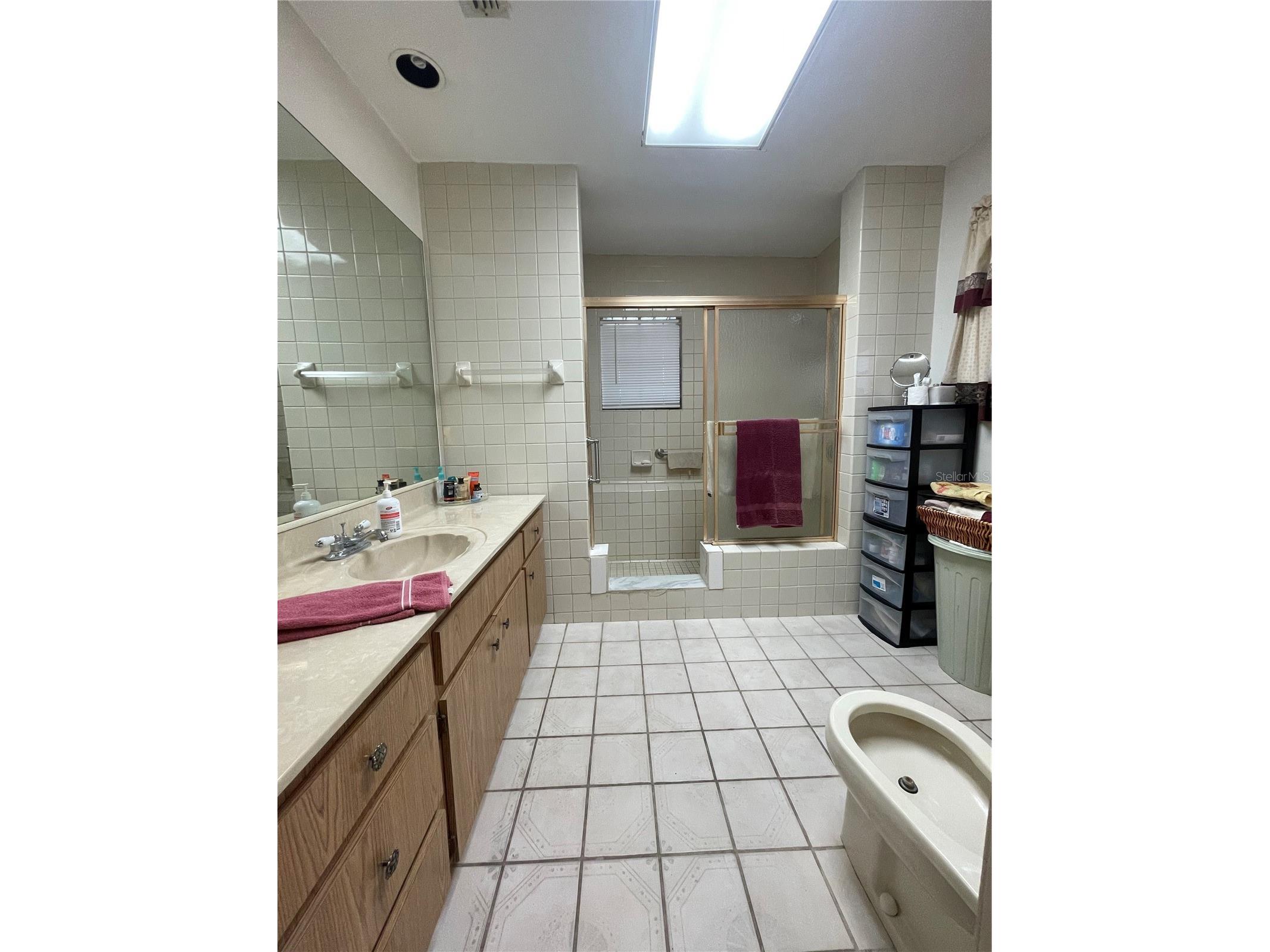 17449 Eagle Lane Lutz FL 33558 TB8505036 image21