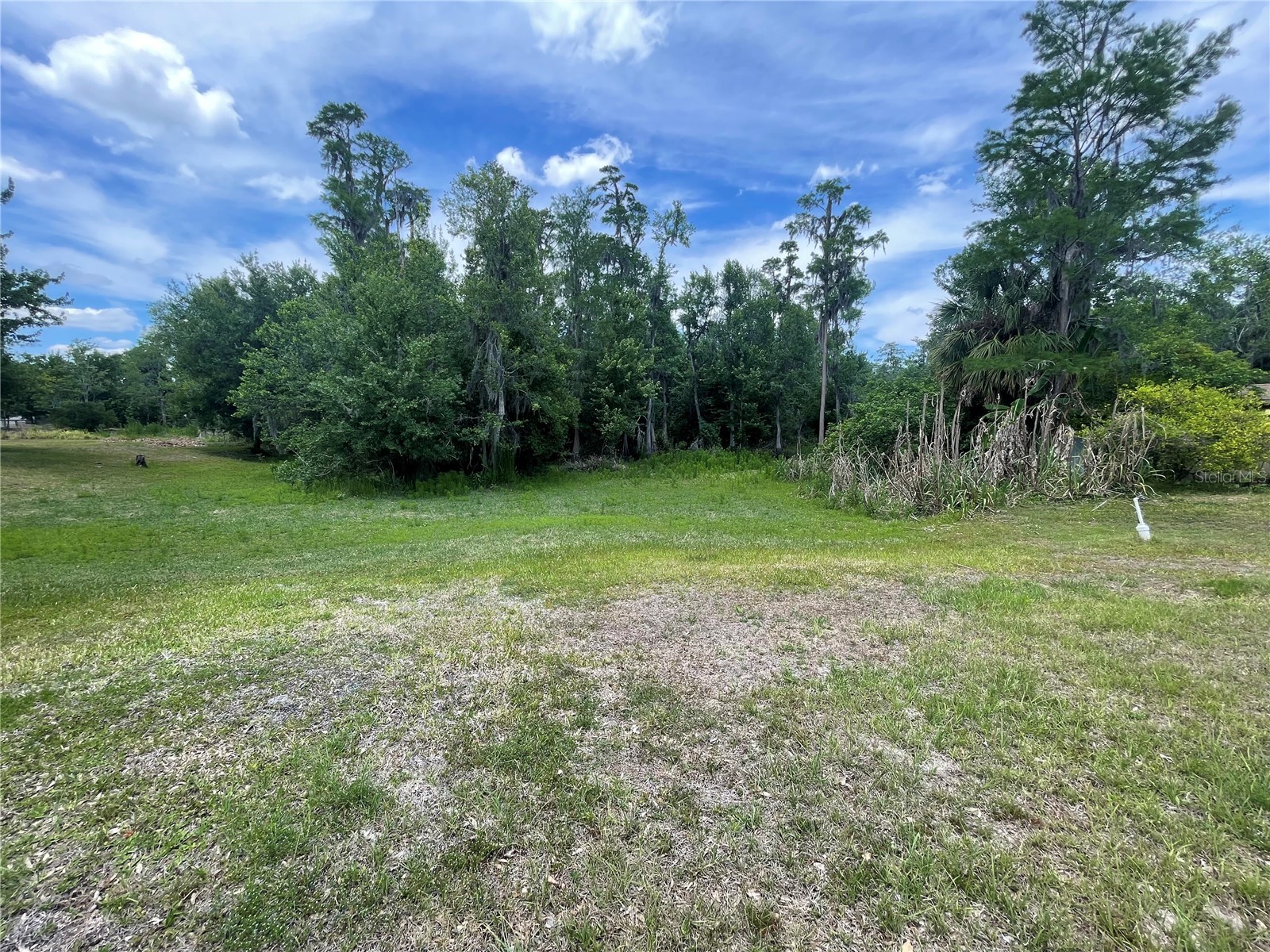 17449 Eagle Lane Lutz FL 33558 TB8505036 image8