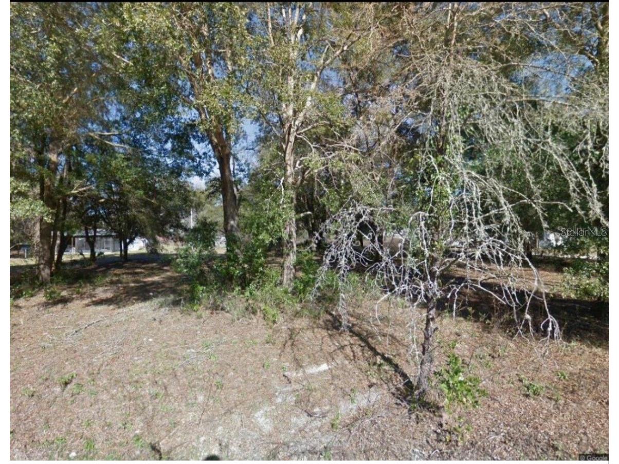 17449 Nw 89th Ter Fanning Springs FL 32693 S5144817 image1