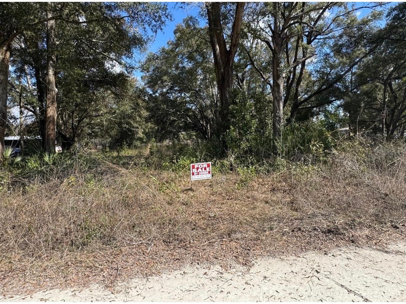 17449 Nw 89th Ter Fanning Springs FL 32693 S5144817 image2