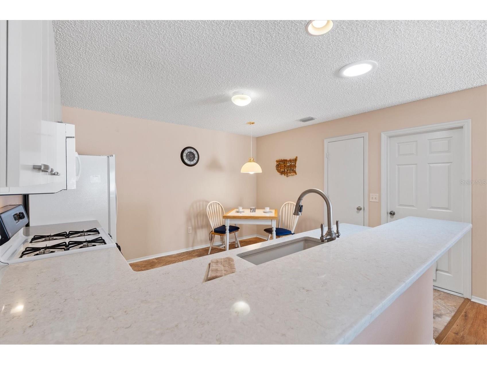 17449 SE 93rd Vine Avenue The Villages FL 32162 G5111344 image14
