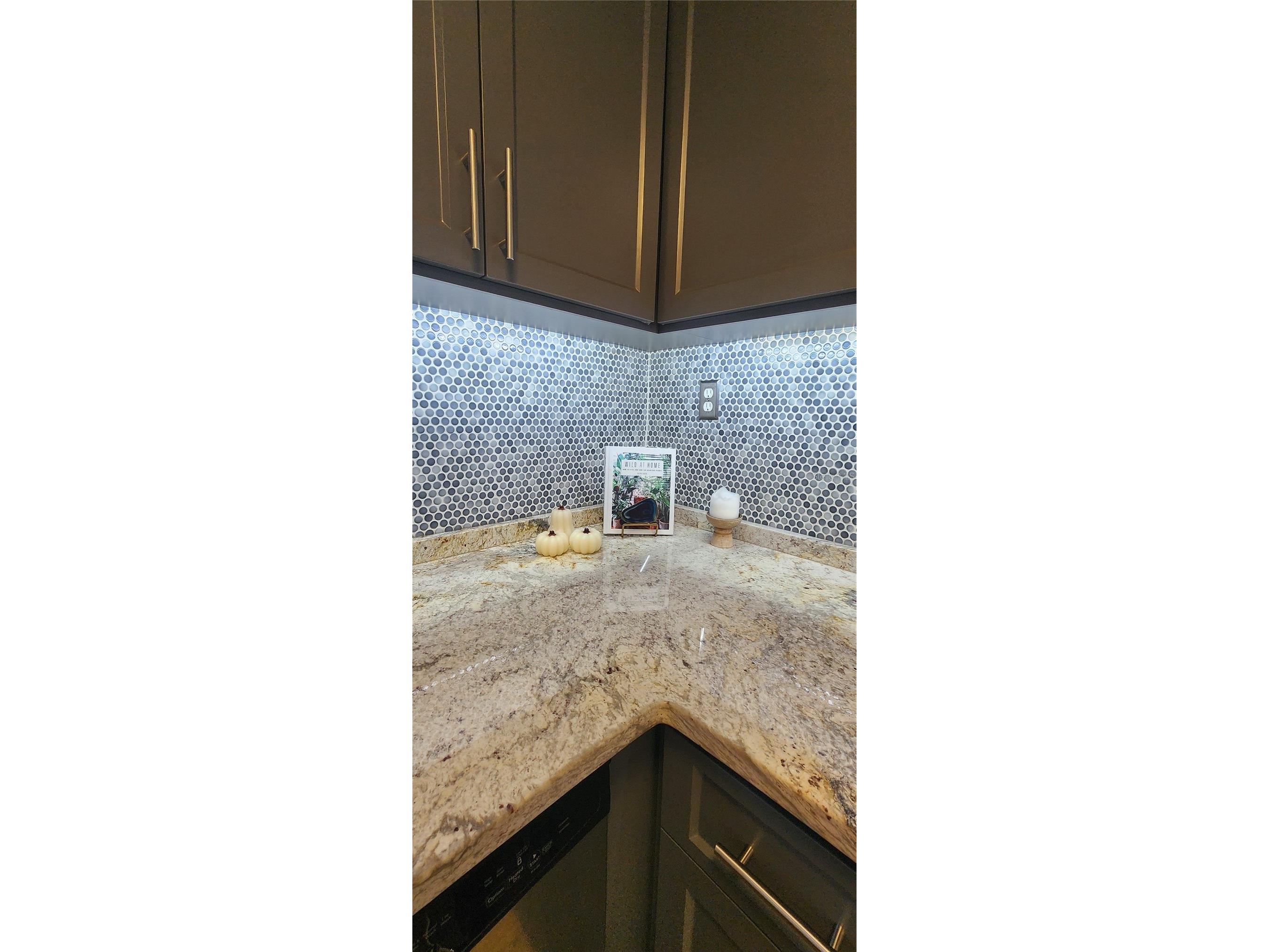 1745 11th Avenue N Saint Petersburg FL 33713 TB8472726 image28