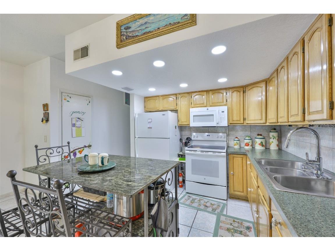 1745 E Mulberry Drive Tampa FL 33604 - HILLSBOROUGH RIVER TB8337455 image17