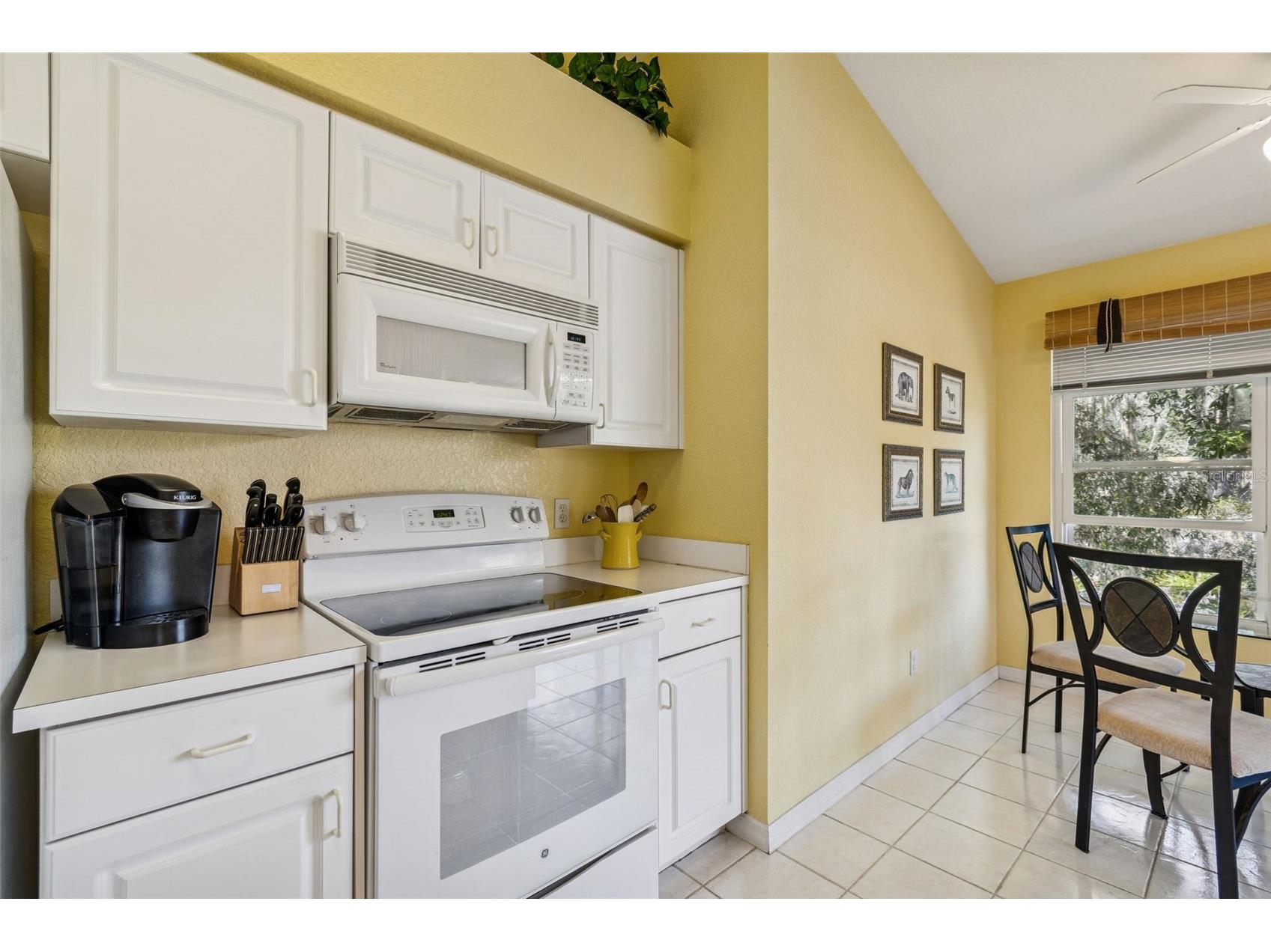 1745 Heron Cove Drive Lutz FL 33549 TB8474562 image20