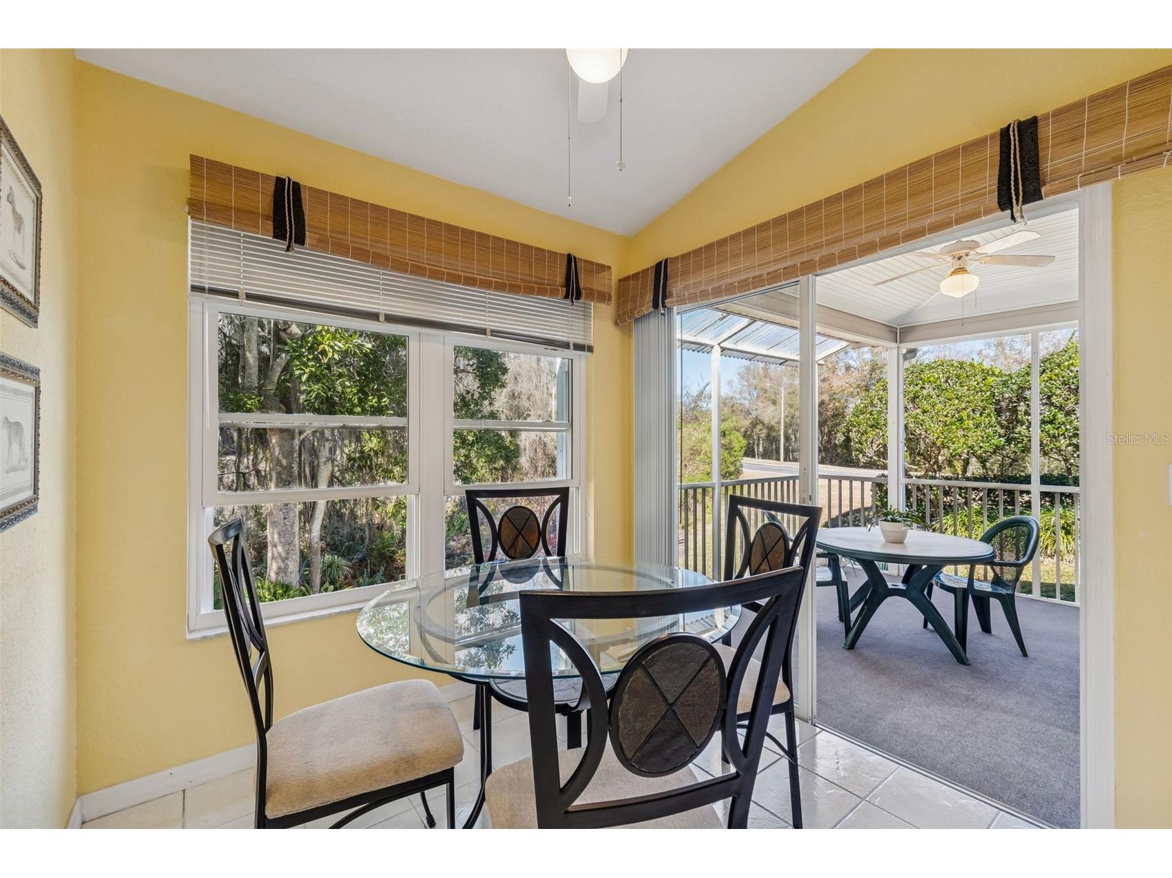 1745 Heron Cove Drive Lutz FL 33549 TB8474562 image21