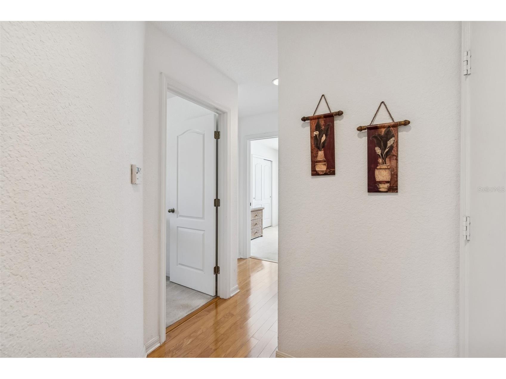 1745 Heron Cove Drive Lutz FL 33549 TB8474562 image24