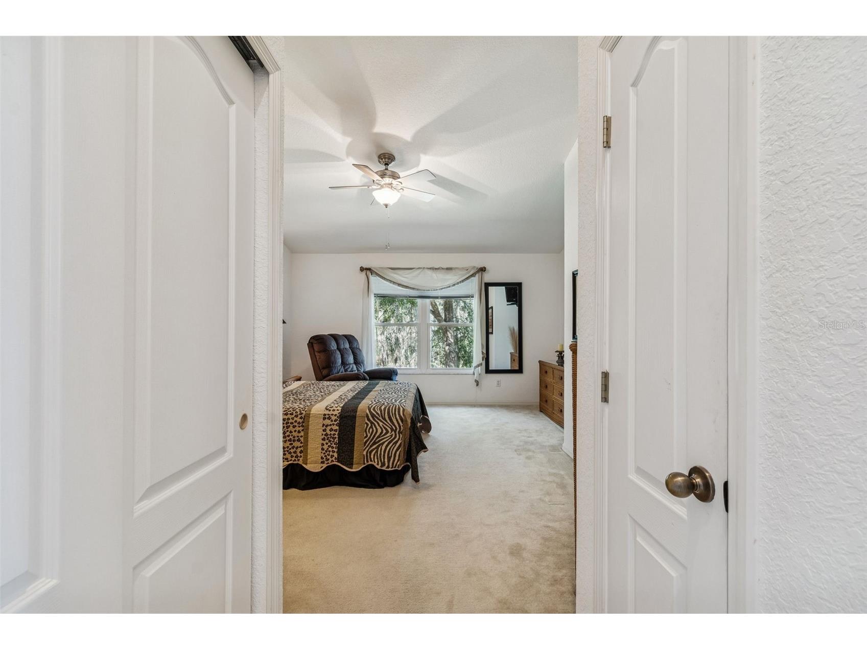 1745 Heron Cove Drive Lutz FL 33549 TB8474562 image35