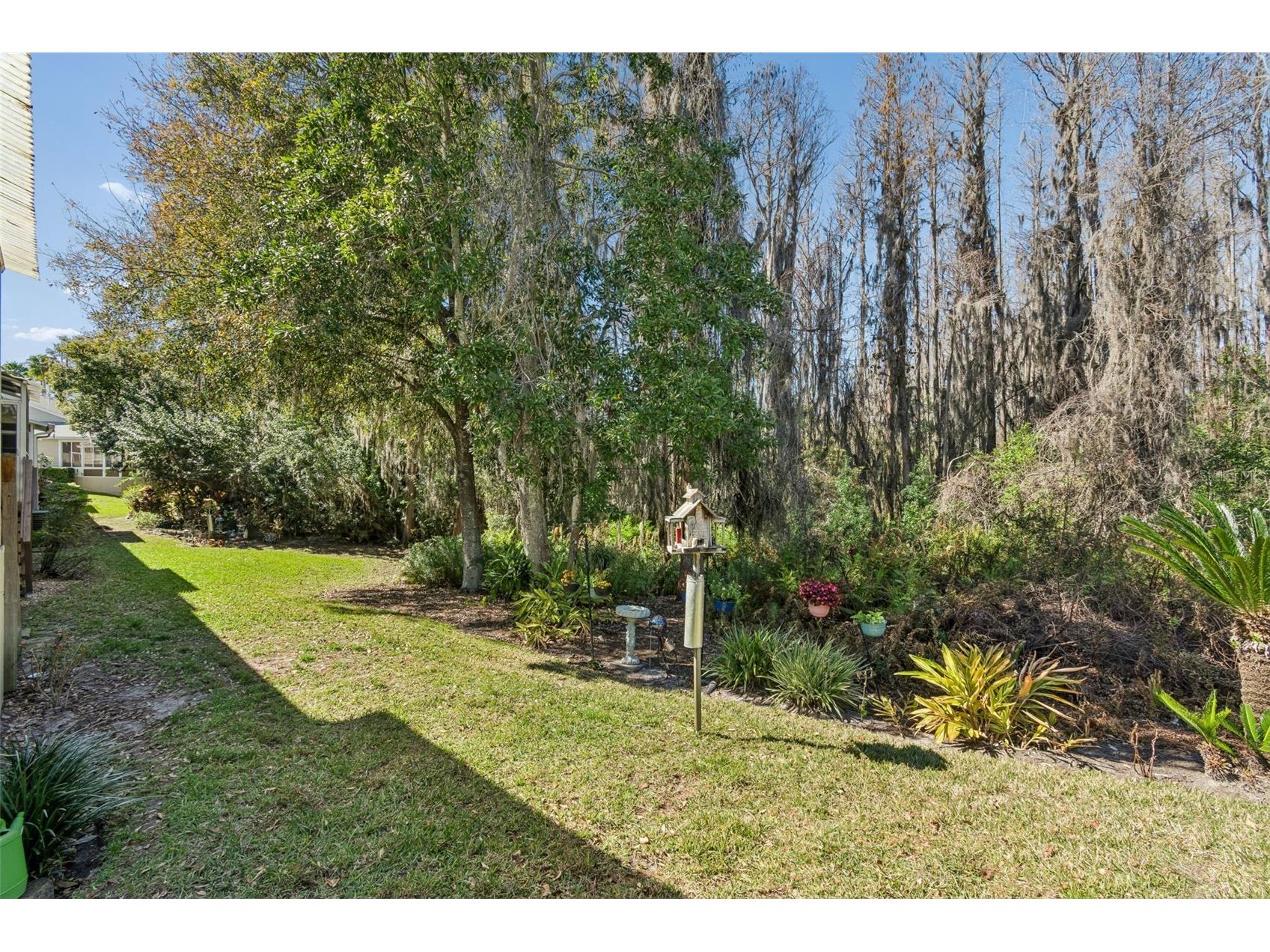 1745 Heron Cove Drive Lutz FL 33549 TB8474562 image48