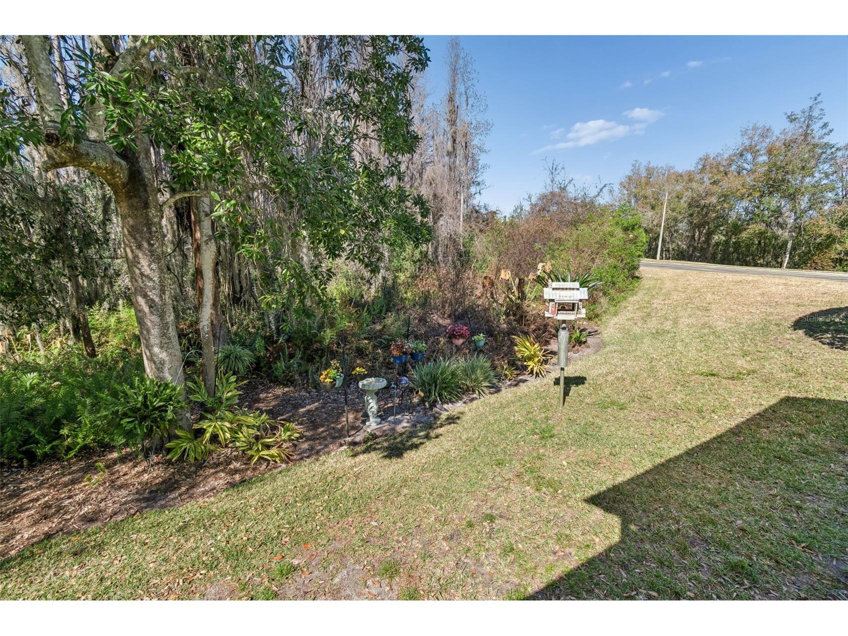 1745 Heron Cove Drive Lutz FL 33549 TB8474562 image49