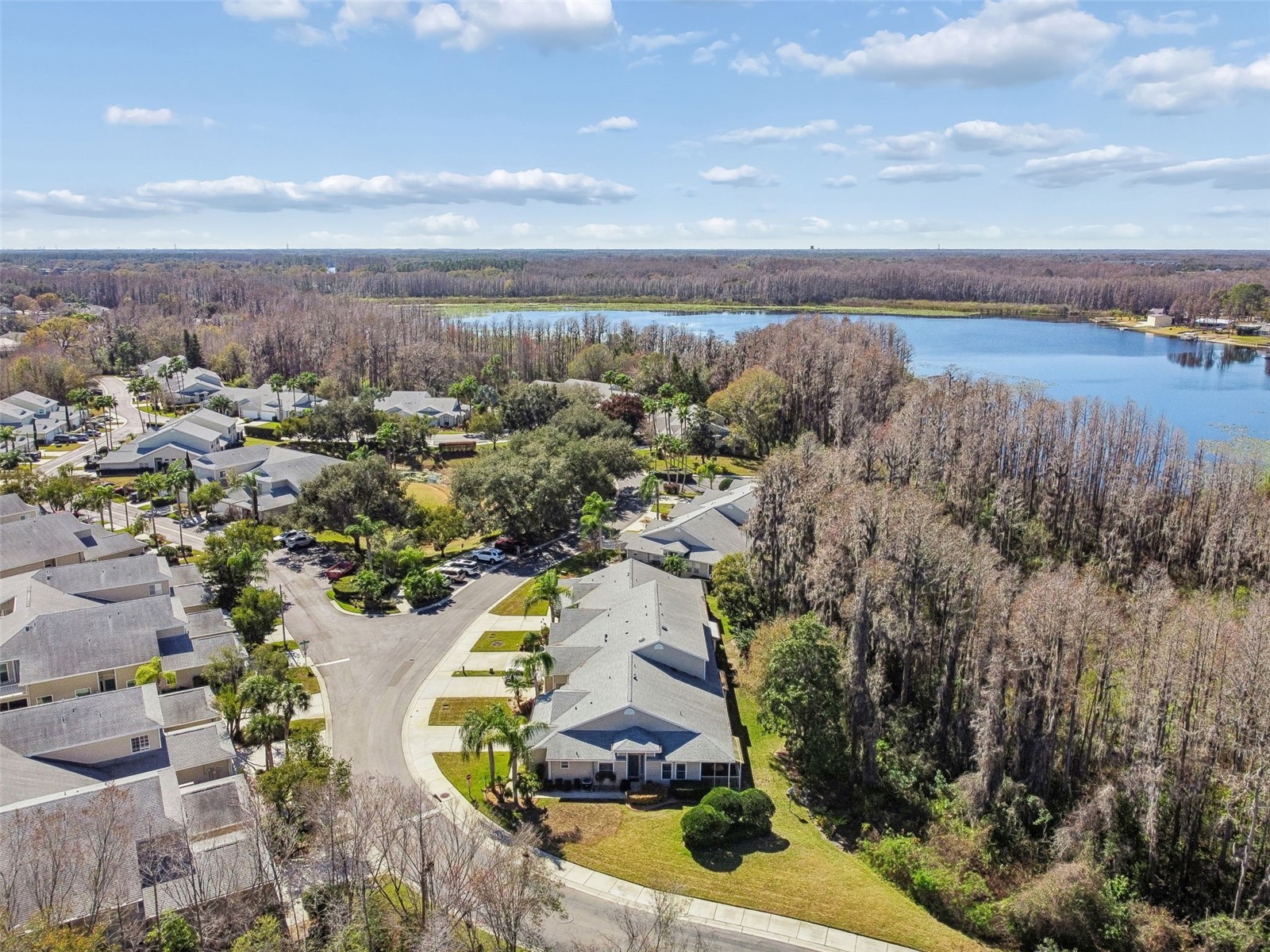 1745 Heron Cove Drive Lutz FL 33549 TB8474562 image52