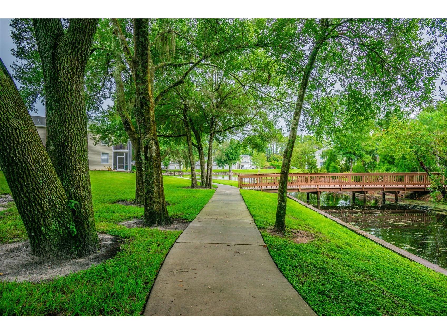 1745 Heron Cove Drive Lutz FL 33549 TB8474562 image53