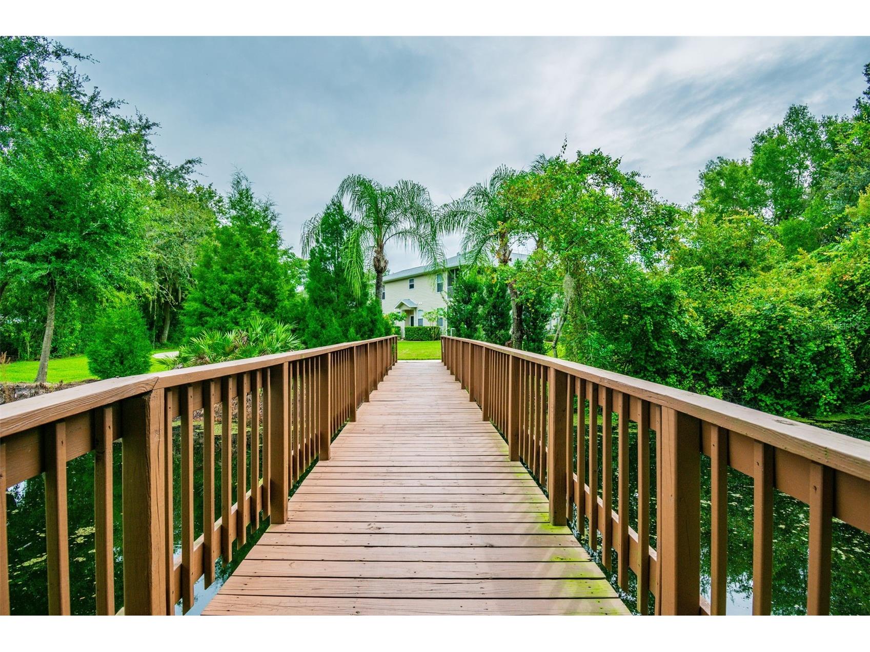 1745 Heron Cove Drive Lutz FL 33549 TB8474562 image54