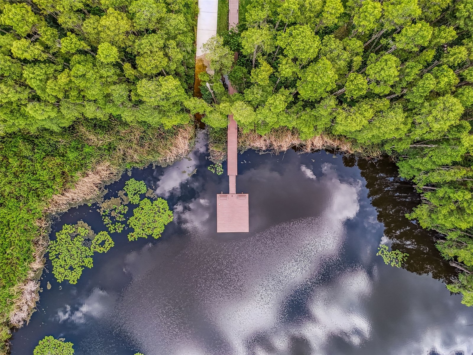 1745 Heron Cove Drive Lutz FL 33549 TB8474562 image56