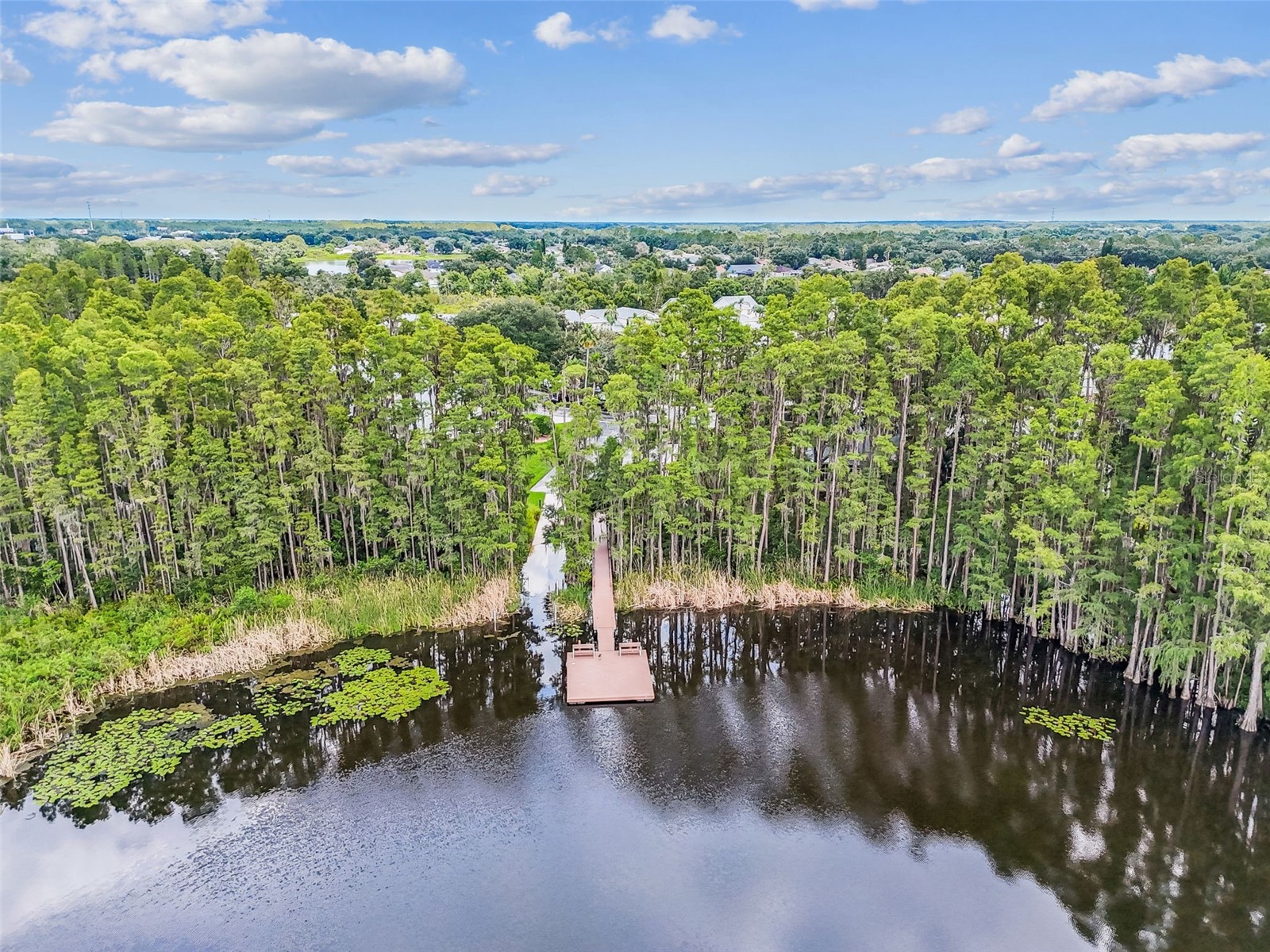 1745 Heron Cove Drive Lutz FL 33549 TB8474562 image57