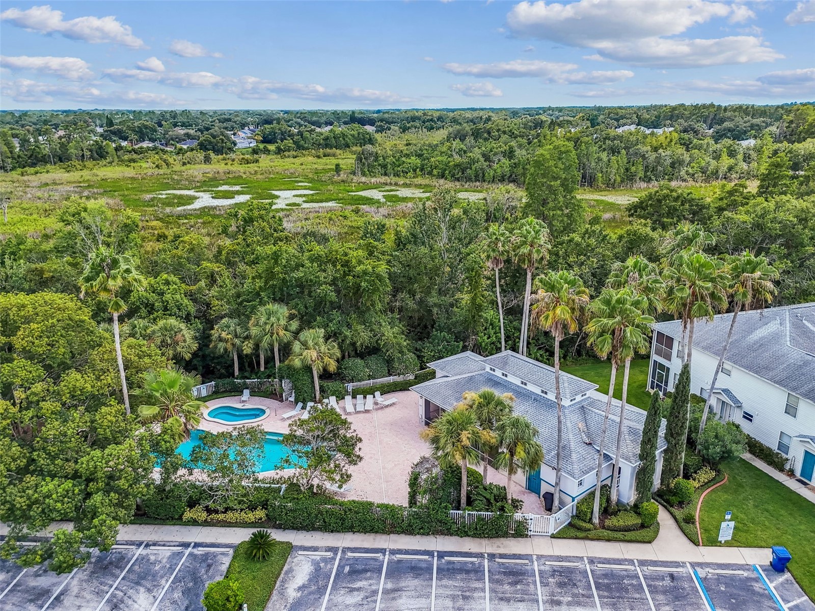 1745 Heron Cove Drive Lutz FL 33549 TB8474562 image59