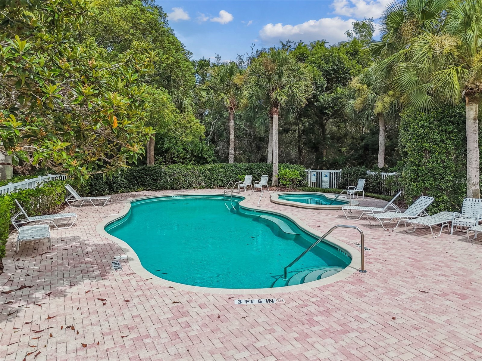 1745 Heron Cove Drive Lutz FL 33549 TB8474562 image61