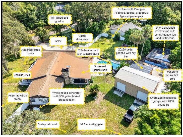 1745 Yvonne Street Apopka FL 32712 O6327907 image41