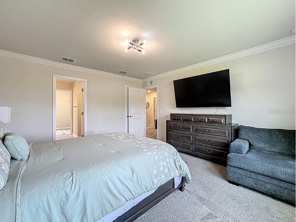 17450 Million Lakes Court Clermont FL 34714 O6336304 image30