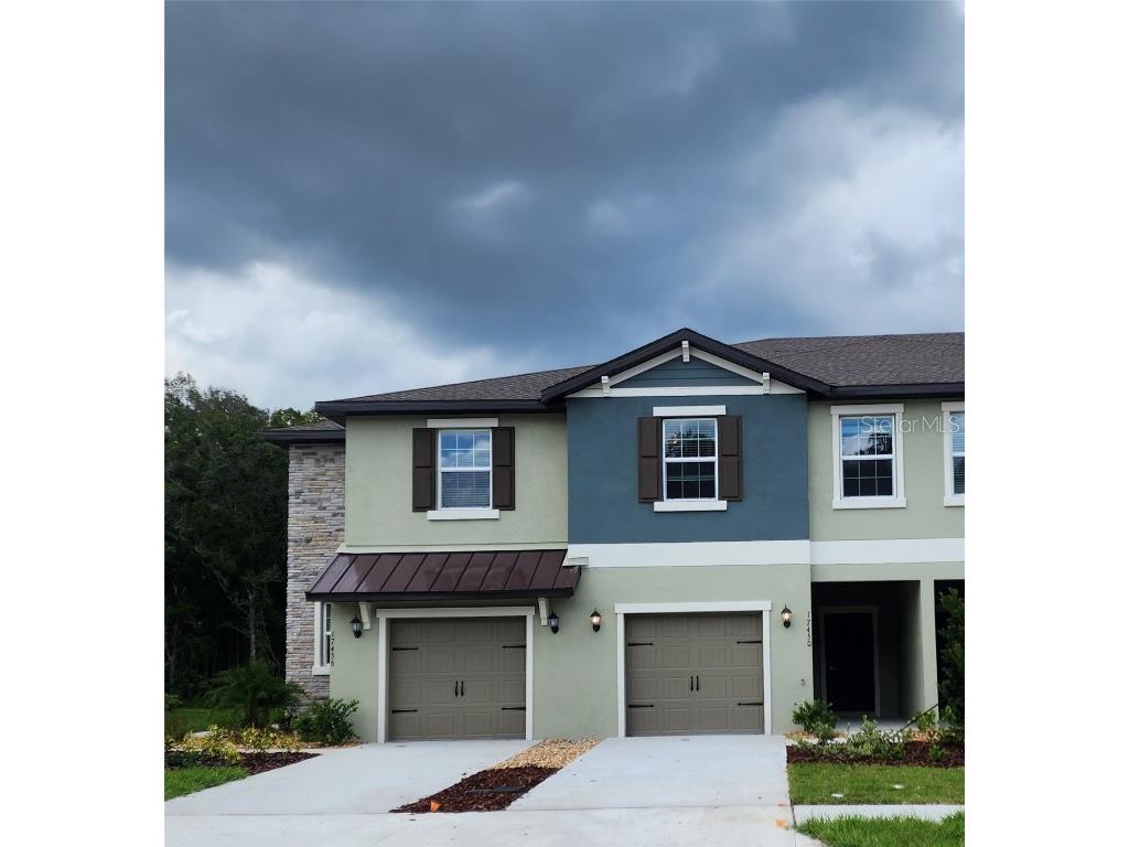 17450 Nectar Flume Drive Land O Lakes FL 34638 T3473052 image1