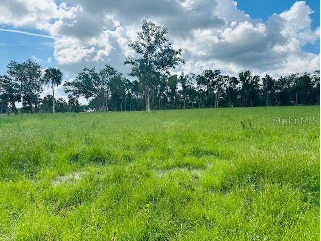 17450 SE Highway 19 Cross City FL 32628 GC539350 image3