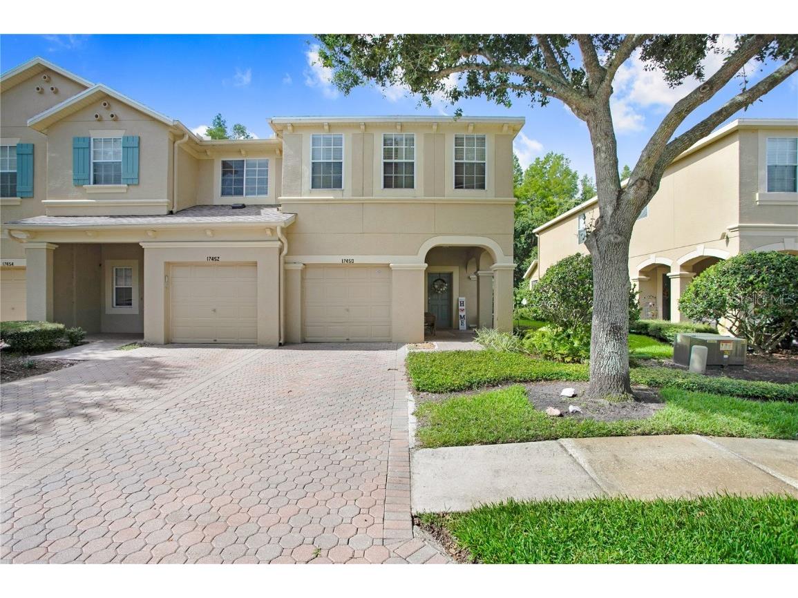 17450 Stinchar Drive Land O Lakes FL 34638 T3459524 image1