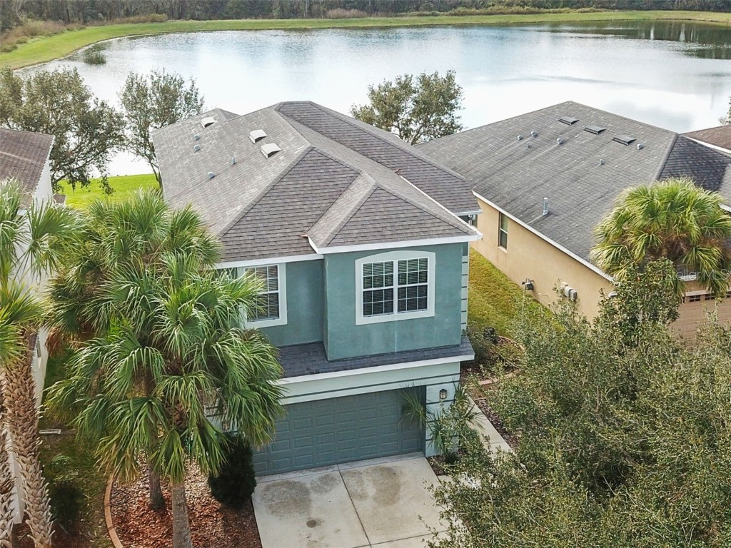 17453 New Cross Circle Lithia FL 33547 T3494582 image1