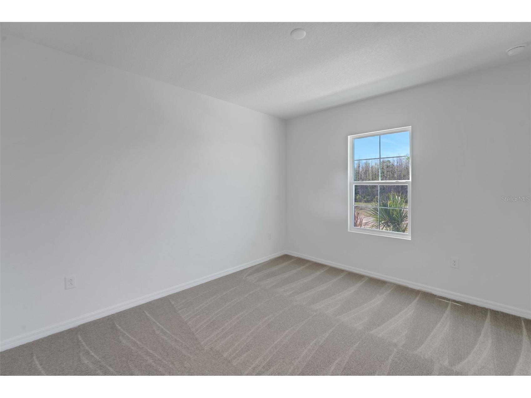 17453 Valleywood Parkway Land O Lakes FL 34638 G5108162 image36