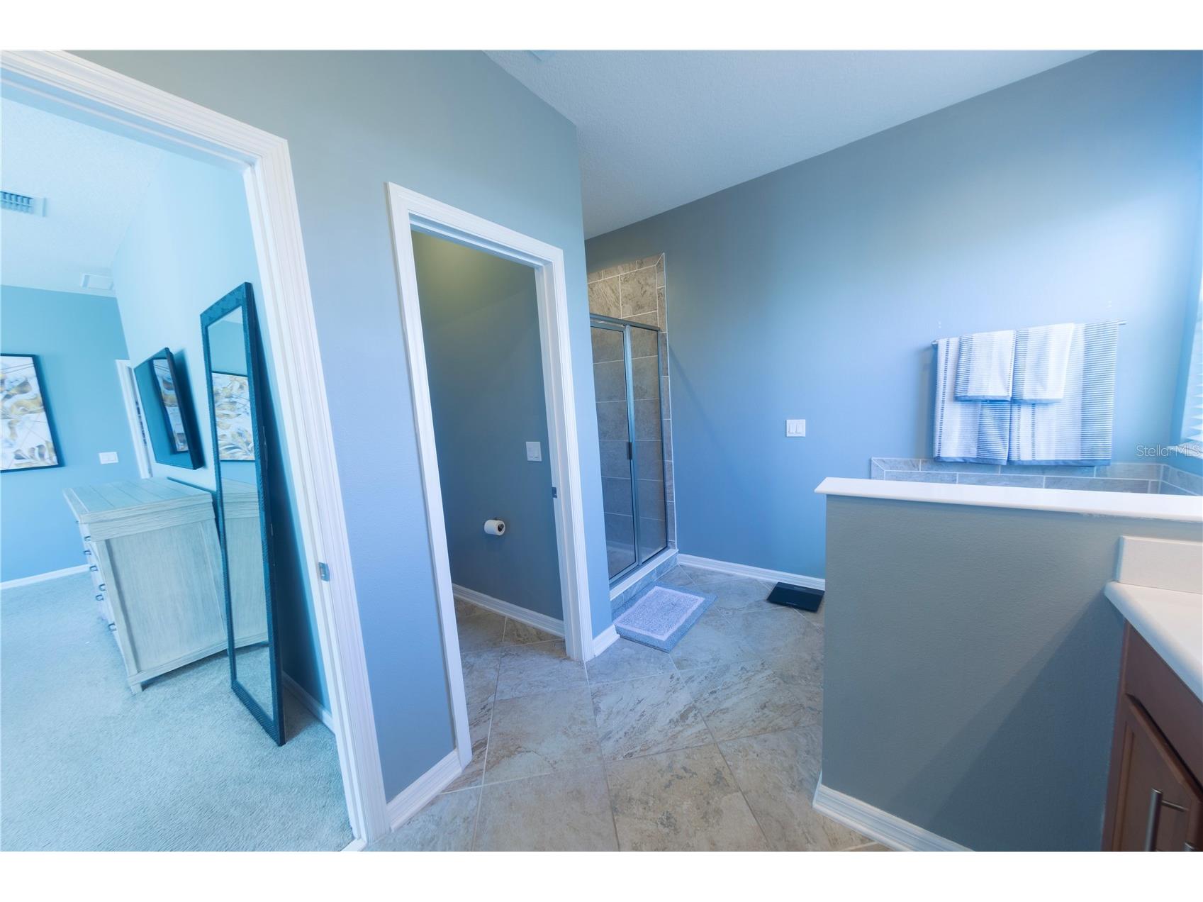 17459 Chateau Pine Way Clermont FL 34711 O6414546 image21