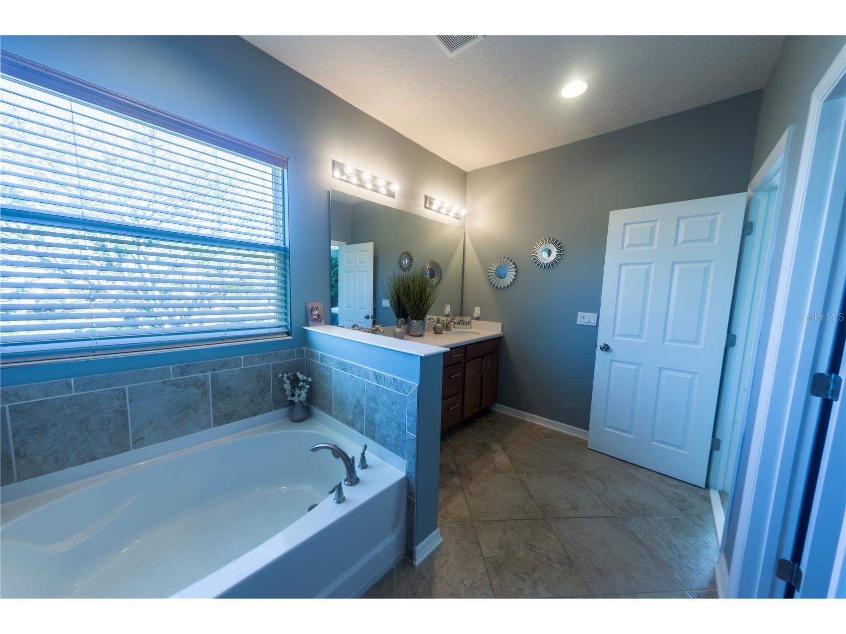 17459 Chateau Pine Way Clermont FL 34711 O6414546 image28