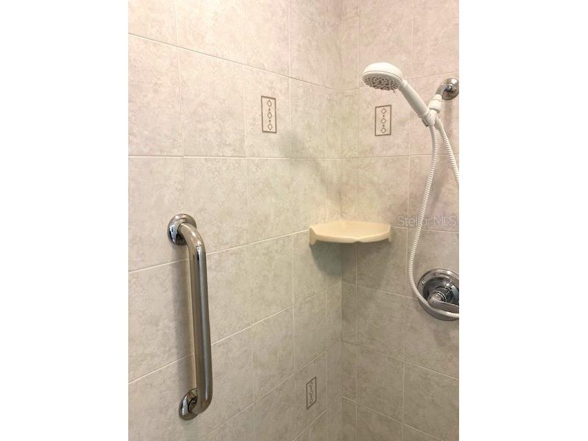 1746 Atrium Drive Sun City Center FL 33573 TB8437316 image26