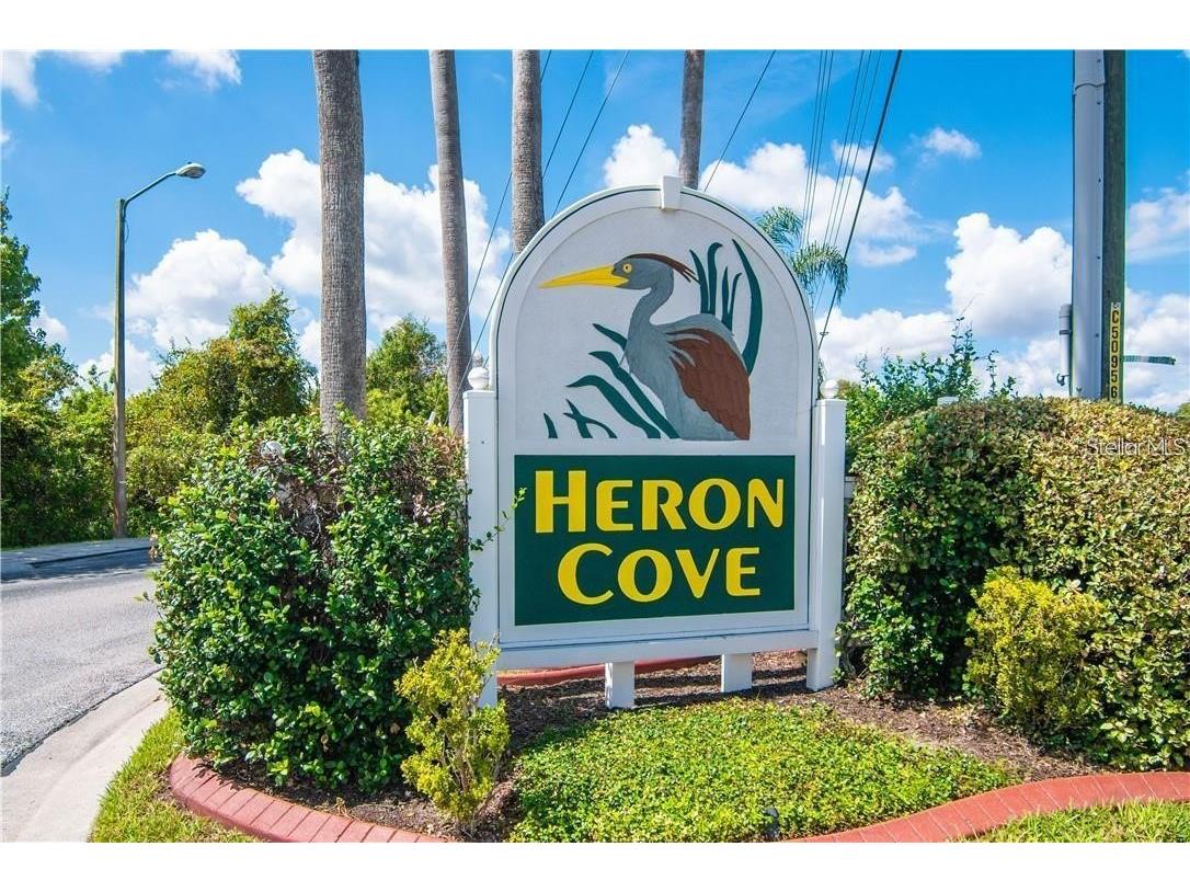 1746 Heron Cove Drive Lutz FL 33549 TB8479071 image2