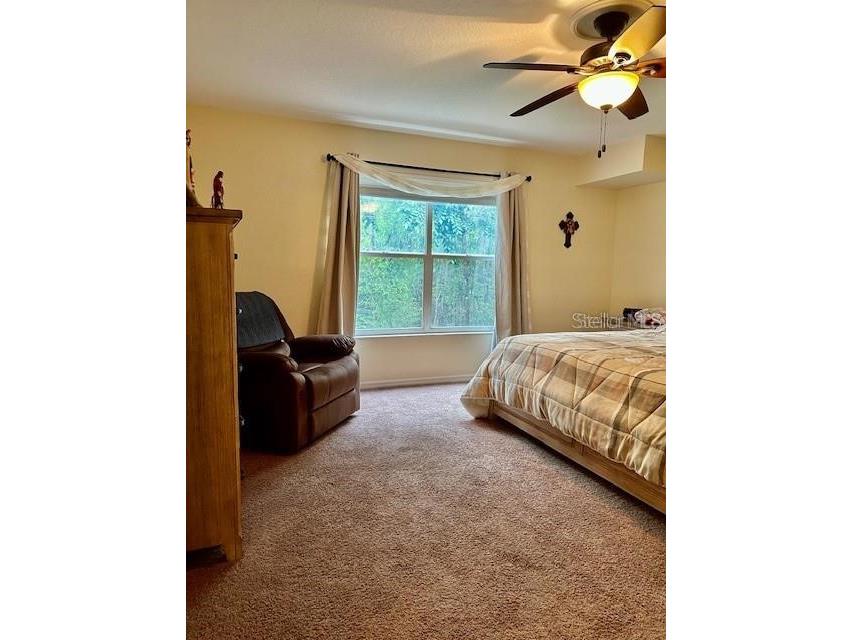 1746 Heron Cove Drive Lutz FL 33549 TB8479071 image27