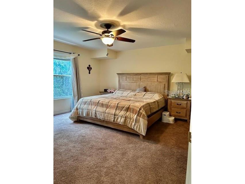 1746 Heron Cove Drive Lutz FL 33549 TB8479071 image28