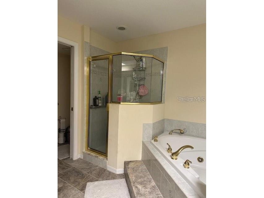 1746 Heron Cove Drive Lutz FL 33549 TB8479071 image29