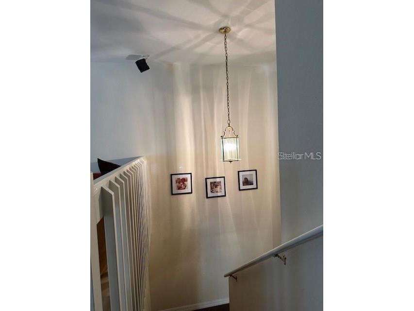 1746 Heron Cove Drive Lutz FL 33549 TB8479071 image32