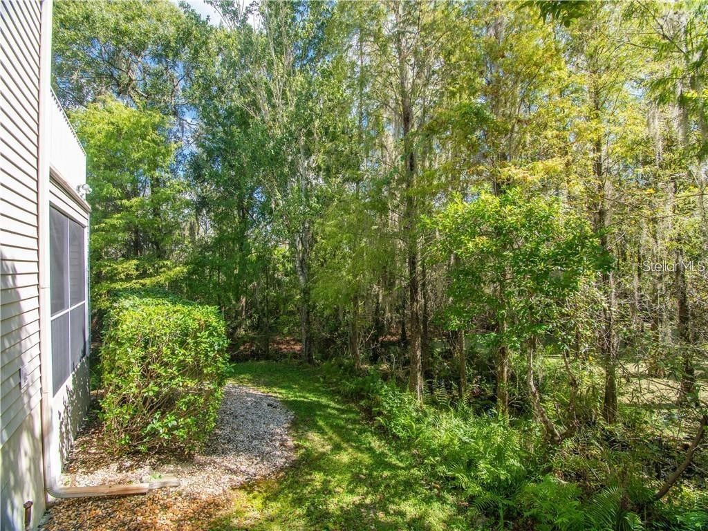 1746 Heron Cove Drive Lutz FL 33549 TB8479071 image40