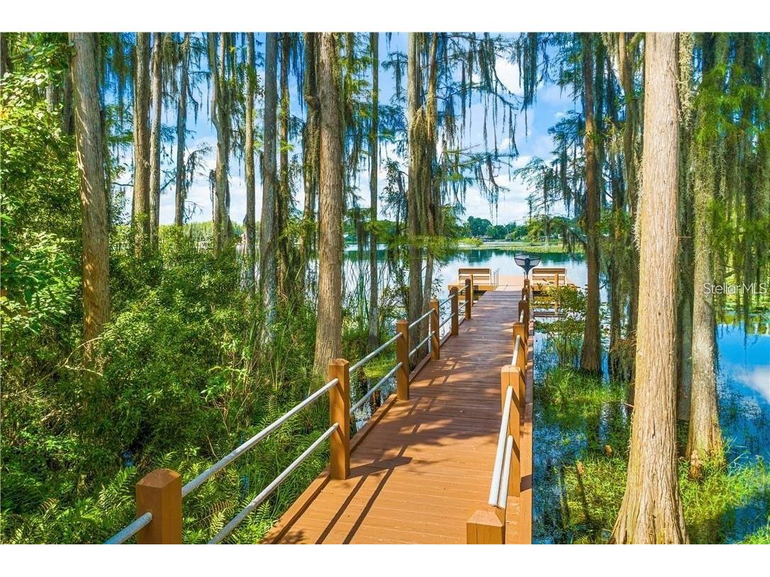 1746 Heron Cove Drive Lutz FL 33549 TB8479071 image5