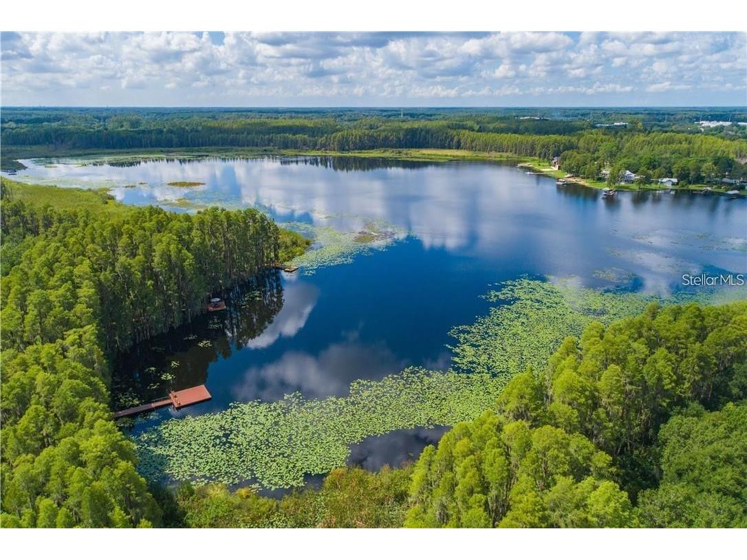 1746 Heron Cove Drive Lutz FL 33549 TB8479071 image6