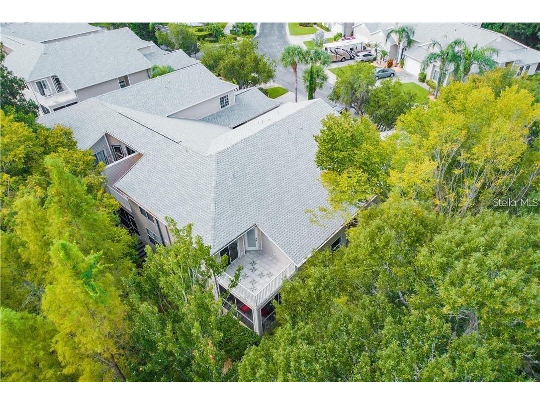 1746 Heron Cove Drive Lutz FL 33549 TB8479071 image7