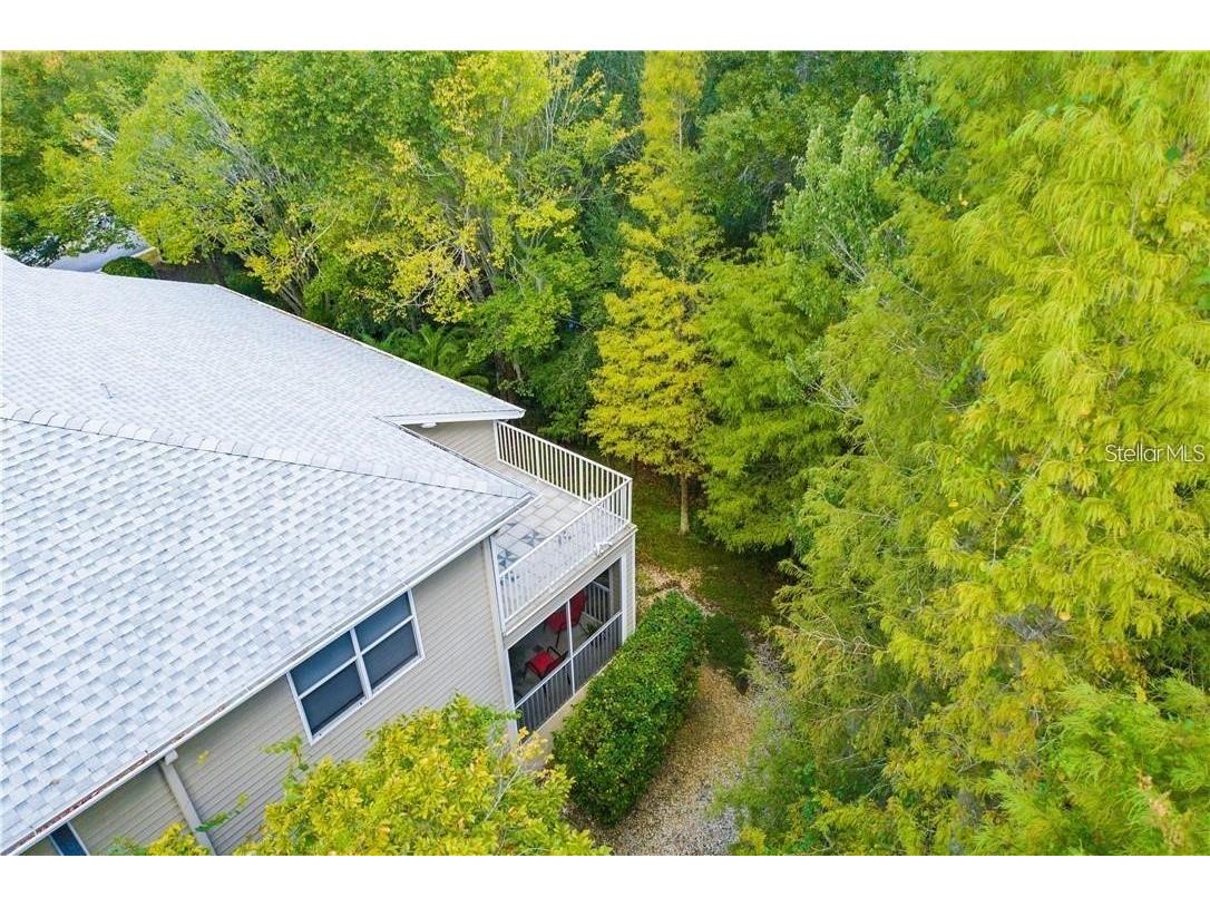 1746 Heron Cove Drive Lutz FL 33549 TB8479071 image8