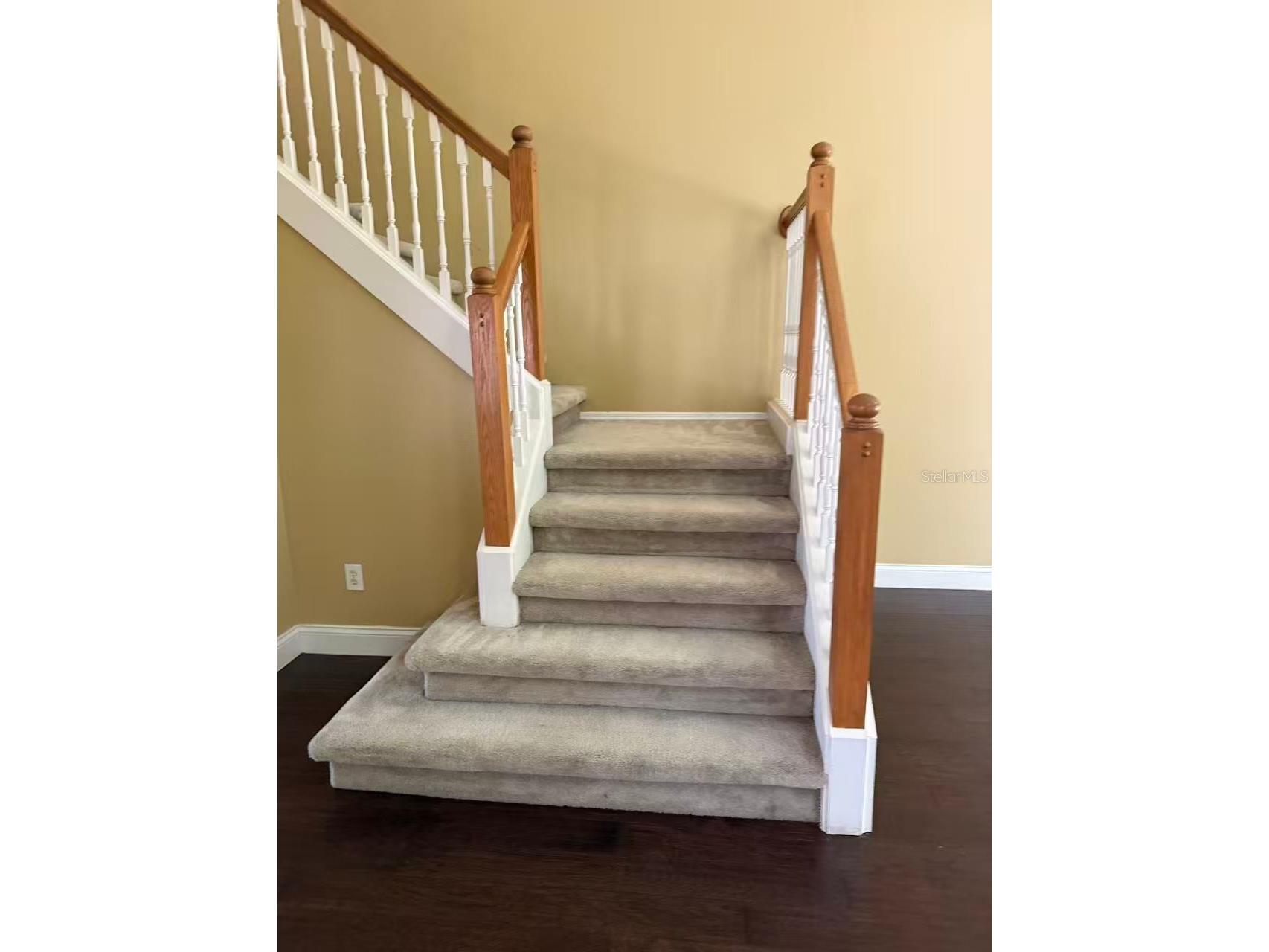1746 Mandavilla Drive Orlando FL 32824 O6404858 image9