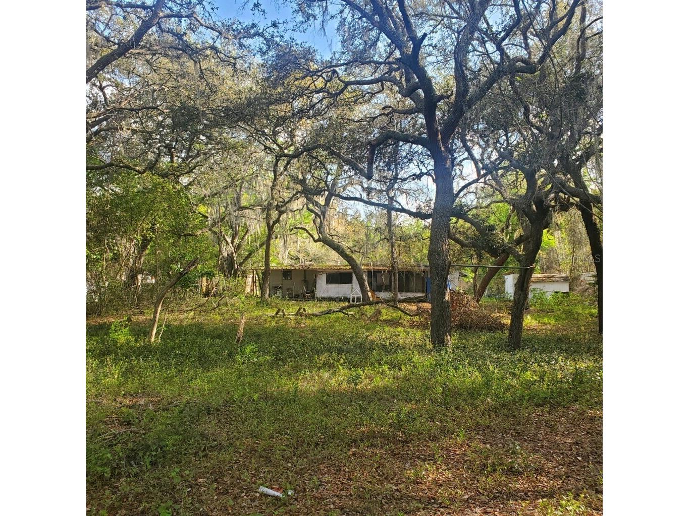 17461 SE 10th Street Silver Springs FL 34488 TB8494017 image1
