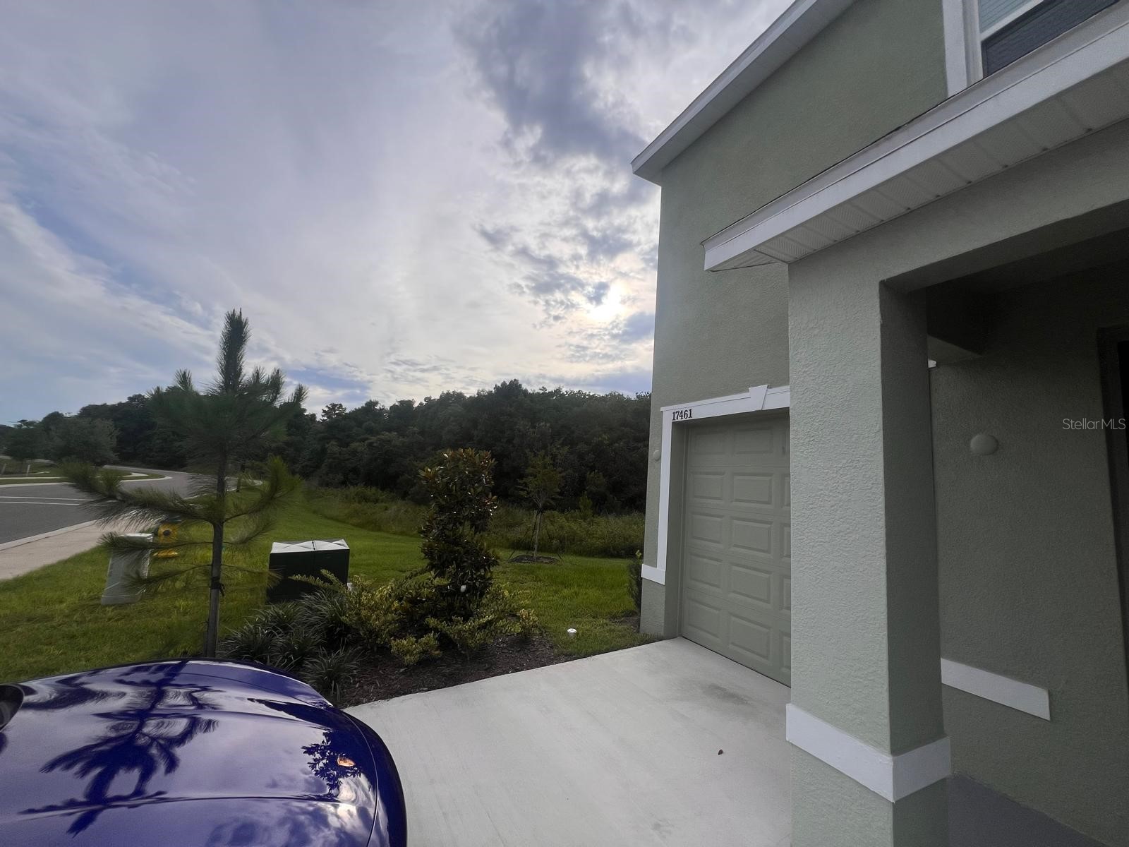 17461 Spanish Oak Loop Land O Lakes FL 34638 TB8521687 image38